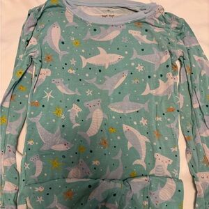 Little Sleepies long sleeve set